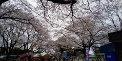 公園の駐車場は...