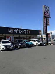 久しぶりの日曜...