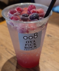大谷資料館の帰...