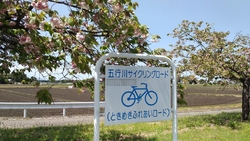 今回はウォーキ...