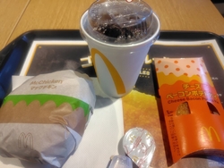 佐野方面から来...