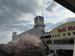 買い物に行って...