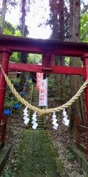 開運招福...