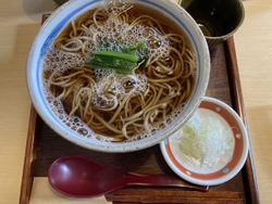 ランチで利用し...
