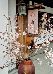 鑁阿寺そばの足...