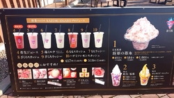 わんぱく公園で...