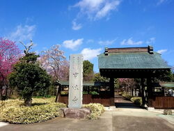 四季折々の花が...
