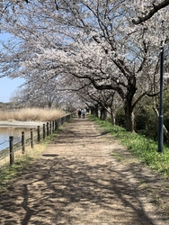 数日前、仕事中...