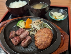 ランチにお邪魔...