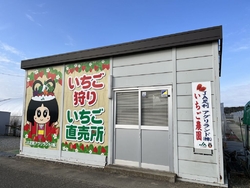 テレビで知って...