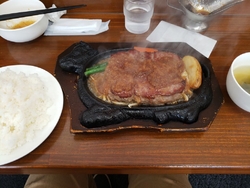 はやぶささんで...