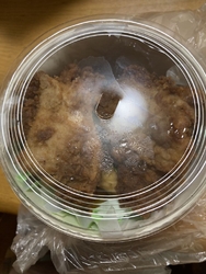 12月になって...