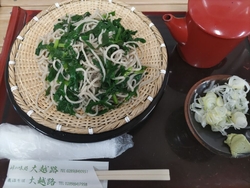 そばを食べに行...