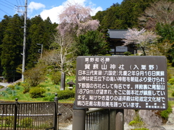 何度かお参りさ...