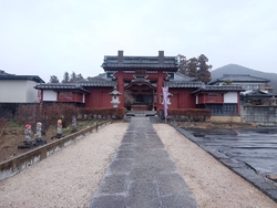 沈丁花の香りが...