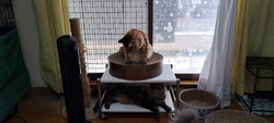 初めて子供と行...