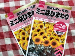 ぶら〜っとDA...