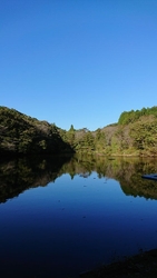 公園側はちょう...