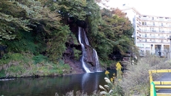 紅葉は、10月...