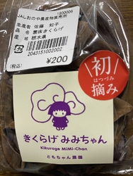 新鮮な野菜がた...