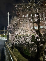 釜川プロムナー...