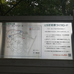 お天気も良かっ...