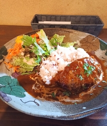 デミグラスソー...