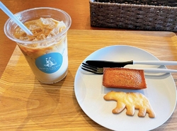 ギフト用に購入...
