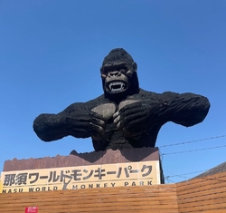 地元栃木県です...