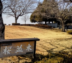 下野市名木３０...