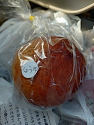 ネットで気にな...