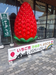 子どものマイナ...