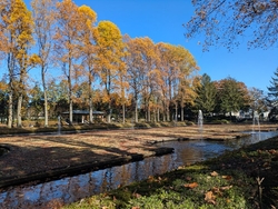 紅葉を見に散歩...