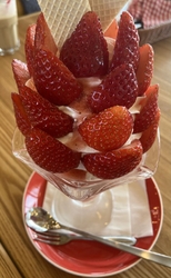 SNSで美味し...