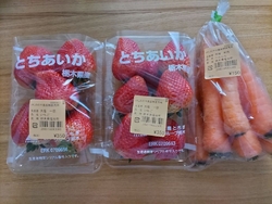 ねぎを求めて立...