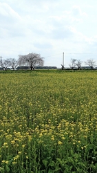 栃木県内最大級...