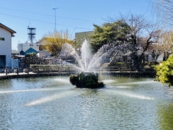 久しぶりに神明...