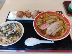 今日は、単品で...