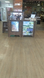 今日は焼きドー...