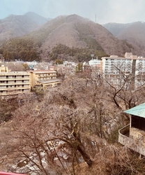 娘と女子旅、宿...