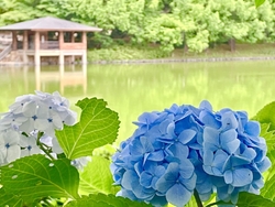 前回から10日...