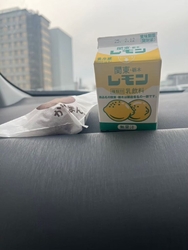 初めての栃木県...