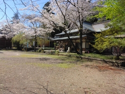 東雲公園から、...