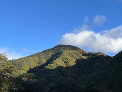 気持ちの良い青...