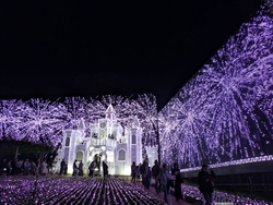 毎年恒例！あし...