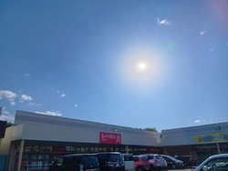 DAISO...