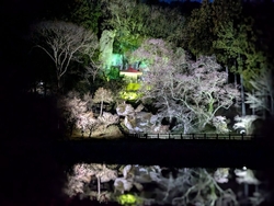 今年も待ちに待...
