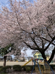 JR小金井駅（...