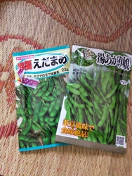 種や苗はいつも...
