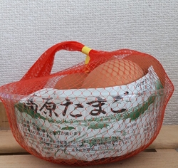 ずっと気になっ...